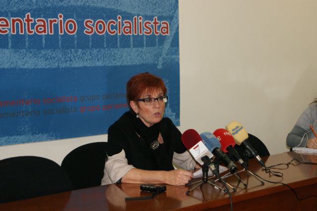 El PSOE el exige al PP coherencia y beligerancia en materia de energías renovables porque la moratoria del PP da la puntilla al sector - 1, Foto 1