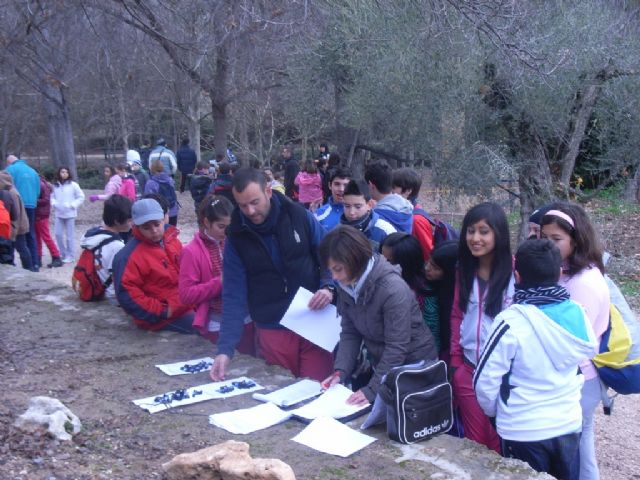 Cerca de 40 escolares totaneros participaron en la segunda Jornada Regional de Orientación de Deporte Escolar - 1, Foto 1