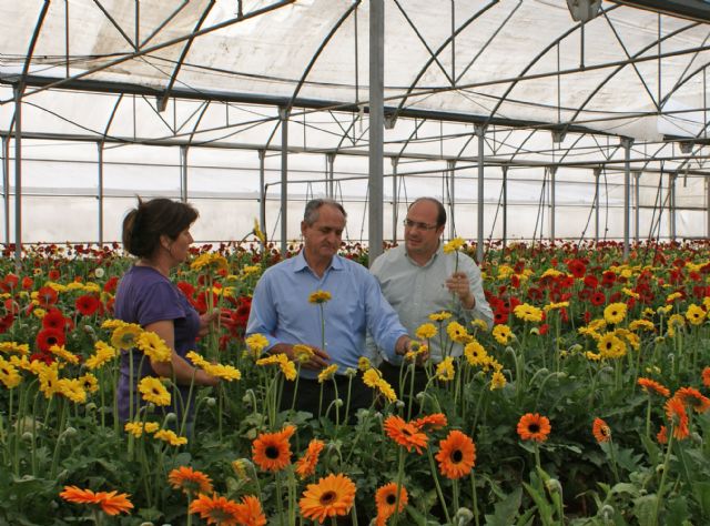 Las empresas agrícolas que contraten a desempleados e incorporen sistemas de uso eficiente de agua pagarán menos impuestos - 1, Foto 1