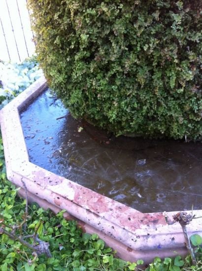 Arrecia el temporal de frío hasta el próximo martes que volverá una nueva ola, Foto 3