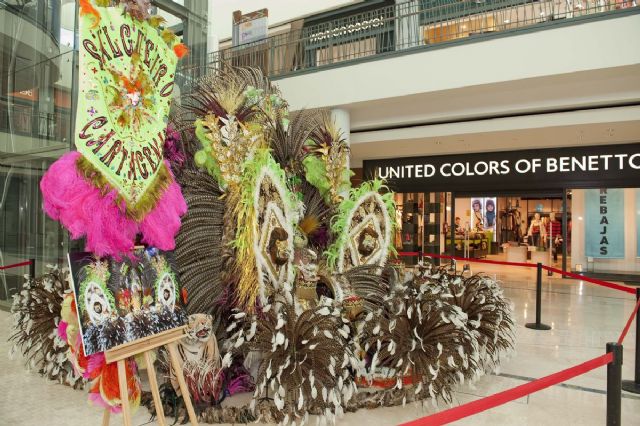Todo el colorido de los trajes de Carnaval, al alcance del público - 5, Foto 5