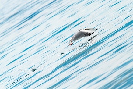 La X edición de la Travesía Fotográfica premia las mejores imágenes del Parque Regional de las Salinas - 3, Foto 3