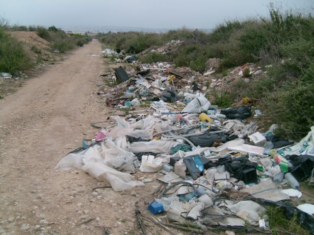 UXA denuncia que aparecen ratas muertas frente al colegio de primaria del Barrio del Carmen - 1, Foto 1