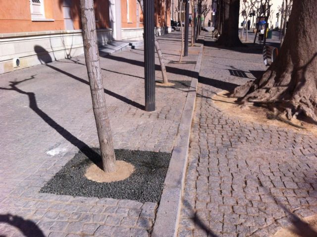 Todos los árboles de la Plaza del Romea cuentan ya con alcorque ecológico - 2, Foto 2