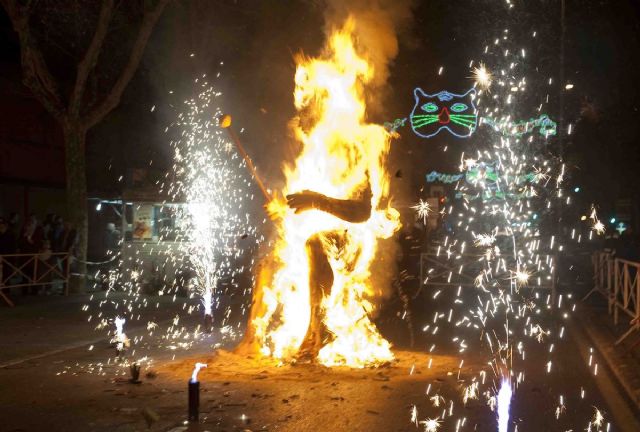 La Quema de Don Carnal cierra el espectáculo del Carnaval 2012 - 1, Foto 1