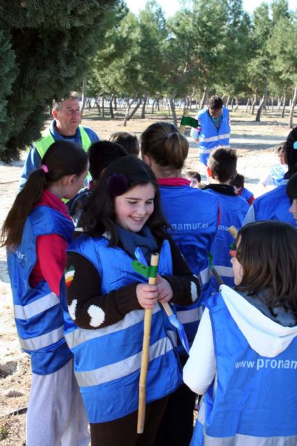 Nuevamente un grupo de escolares de primaria plantan 100 pinos en el polígono industrial oeste - 2, Foto 2