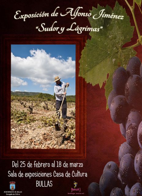 Exposición Sudor y Lágrimas de Alfonso Jiménez en la Casa de Cultura - 1, Foto 1