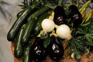 ASAJA Murcia destaca la calidad como principal cualidad de la actual campaña hortofrutícola - 1, Foto 1