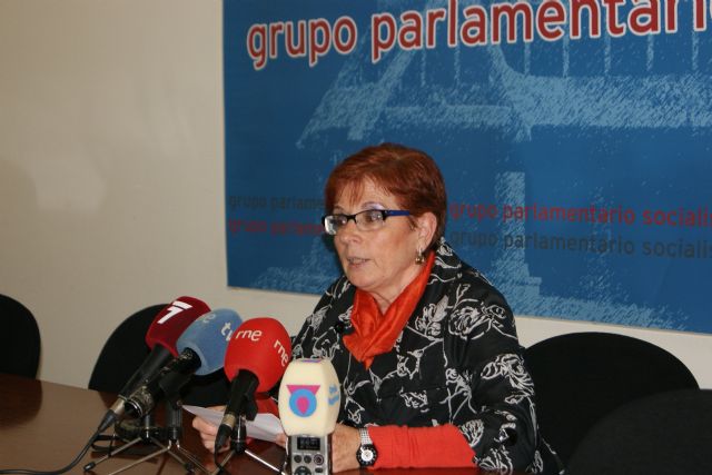 El PSOE pide a Bernal que aclare las inconcreciones del Plan de Pago para no frustrar las expectativas de los acreedores - 1, Foto 1