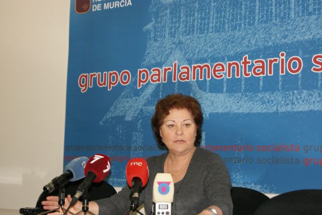 El PSOE pide explicaciones al Gobierno regional sobre la pérdida de 5 millones de euros para proyectos de Política Social - 1, Foto 1