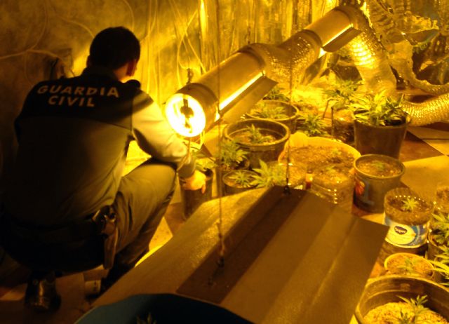 La Guardia Civil desarticula un punto de cultivo, elaboración y venta de marihuana - 1, Foto 1
