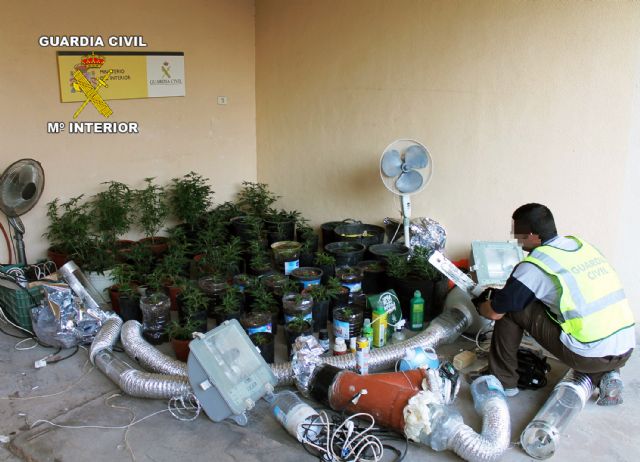 La Guardia Civil desarticula un punto de cultivo, elaboración y venta de marihuana - 2, Foto 2