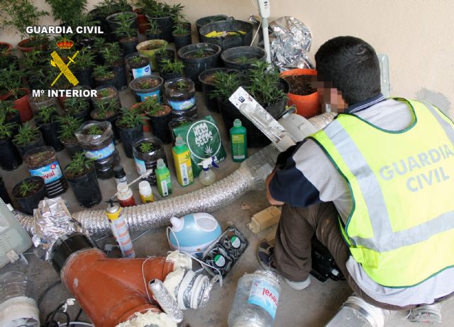 La Guardia Civil desarticula un punto de cultivo, elaboración y venta de marihuana - 3, Foto 3