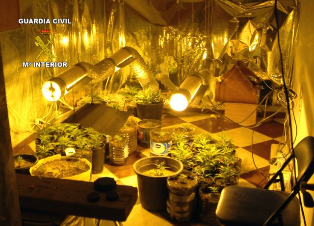 La Guardia Civil desarticula un punto de cultivo, elaboración y venta de marihuana - 4, Foto 4