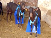 Agricultura participa en un proyecto europeo para la producción de leche de cabra libre de hormonas