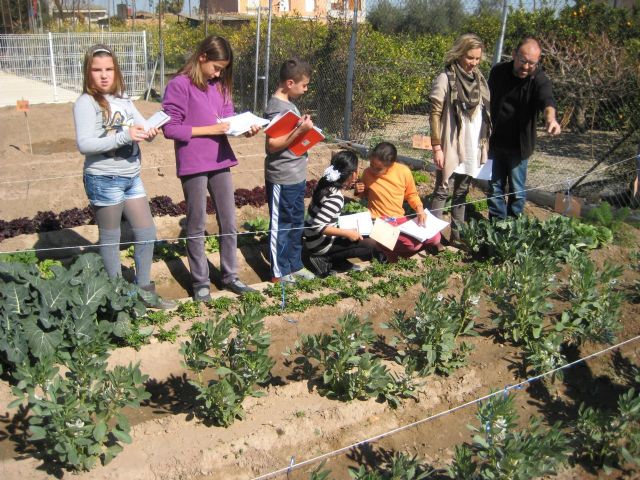 2.000 alumnos aprenden a identificar y a cuidar los cultivos básicos de la huerta murciana en los patios de sus colegios - 2, Foto 2