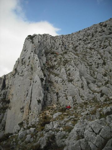 El CAT Totana sigue su intensa participacin en varias carreras durante la pasada semana - 16