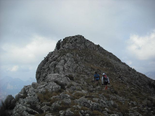 El CAT Totana sigue su intensa participacin en varias carreras durante la pasada semana - 19