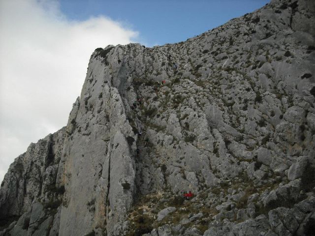 El CAT Totana sigue su intensa participacin en varias carreras durante la pasada semana - 21