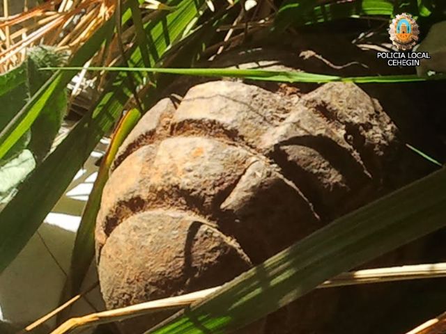 Aparece en Cehegín una bomba de mano de la Guerra Civil - 1, Foto 1