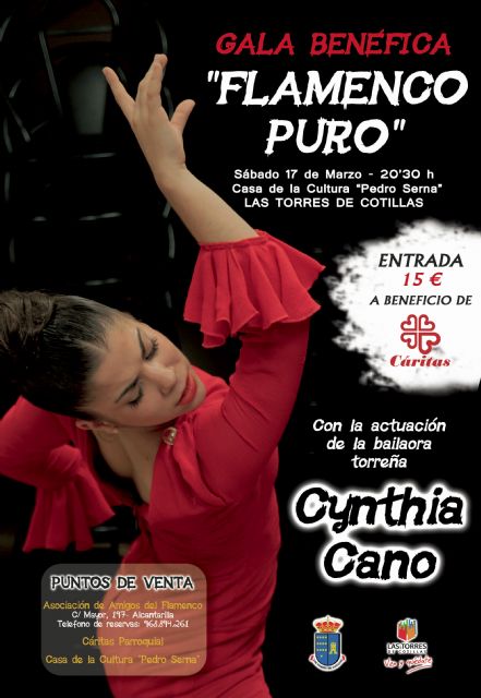 Las Torres de Cotillas se vuelca con el flamenco por una causa solidaria - 1, Foto 1