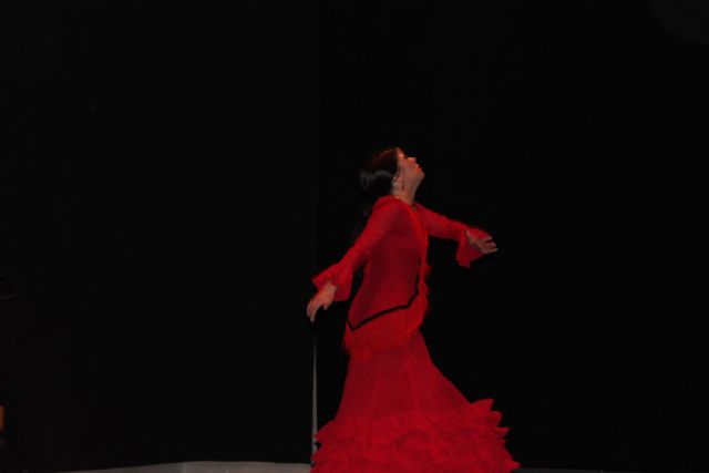 La torreña Cynthia Cano despliega ante sus vecinos su arte por una causa solidaria - 3, Foto 3