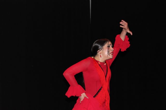 La torreña Cynthia Cano despliega ante sus vecinos su arte por una causa solidaria - 4, Foto 4