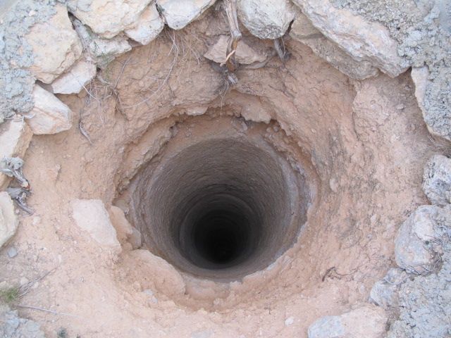 El dueño de la perra tirada viva a un pozo de 30 metros de profundidad será juzgado - 2, Foto 2