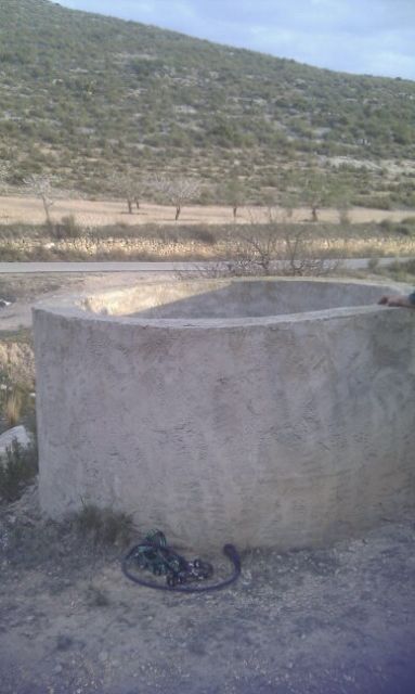 El dueño de la perra tirada viva a un pozo de 30 metros de profundidad será juzgado - 4, Foto 4