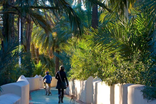 Viaje Sociocultural de los mayores a la ciudad de Elche - 1, Foto 1