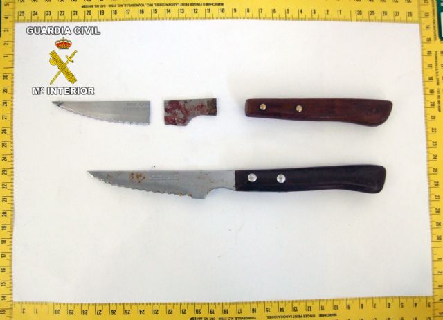 La Guardia Civil detiene al presunto autor de un homicidio en tentativa en San Javier - 1, Foto 1