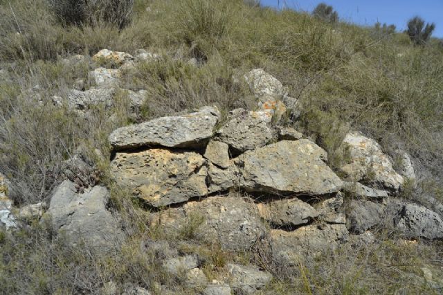 Concluye el Ciclo ´Cata la Historia de Jumilla´ con una valoración muy positiva y con la participación de más de un centenar de personas - 4, Foto 4
