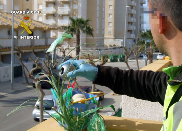 La Guardia Civil desmantela un punto de distribución de droga en Playa Paraíso - 2, Foto 2