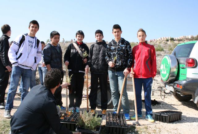 La Concejalía de Medio Ambiente realiza una campaña de reforestación en Las Tosquillas de Barranda - 1, Foto 1