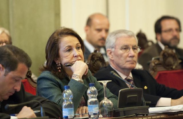 El Plan de Ajuste del Ayuntamiento sale adelante en el pleno - 2, Foto 2