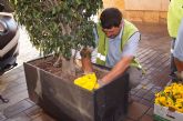 La ciudad se engalana con adornos florales para recibir la Semana Santa, declarada de Interés Turístico Regional, gracias a la donación de una empresa local