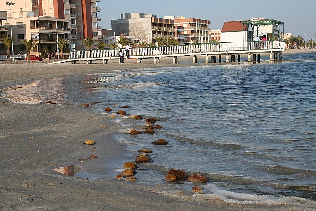 UPyD denuncia el estado de las playas del Mar Menor a escasos días del puente de Semana Santa - 1, Foto 1