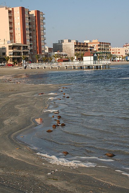 UPyD denuncia el estado de las playas del Mar Menor a escasos días del puente de Semana Santa - 3, Foto 3