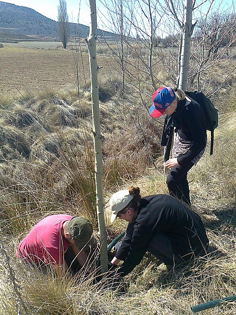 Más de 60 voluntarios contribuyen a la restauración medioambiental del bosque de ribera del río Alhárabe - 1, Foto 1
