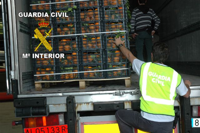 La Guardia Civil desarticulauna importante organización criminal dedicada al tráfico de drogas empleando caminones fruta - 1, Foto 1