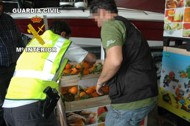 La Guardia Civil desarticulauna importante organización criminal dedicada al tráfico de drogas empleando caminones fruta - 2, Foto 2