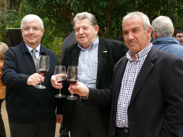 Éxito de participación en la Miniferia del Vino 2012 - 1, Foto 1