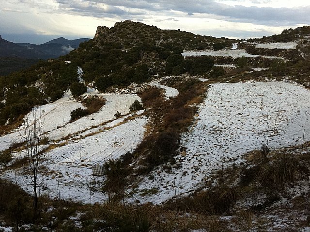 Tremenda granizada en Moratalla - 2, Foto 2
