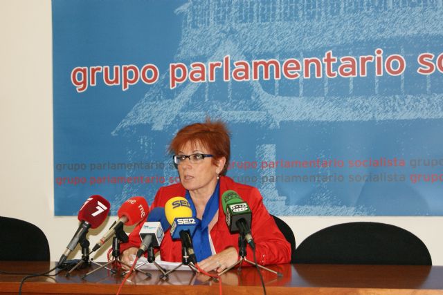 El PSOE exige a Valcárcel que dé la cara y explique en la Asamblea cómo van a afectar los nuevos recortes en sanidad y educación - 1, Foto 1