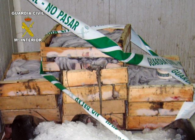 La Guardia Civil decomisa más de 200 kilos de atún rojo y pulpo - 2, Foto 2