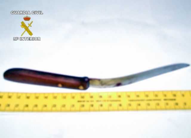 La Guardia Civil detiene al presunto autor de un homicidio en grado tentativa - 1, Foto 1