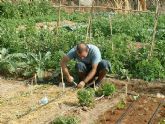 El Centro Cultural Puertas de Castilla organiza el taller huertos urbanos ecolgicos 3ª edicin