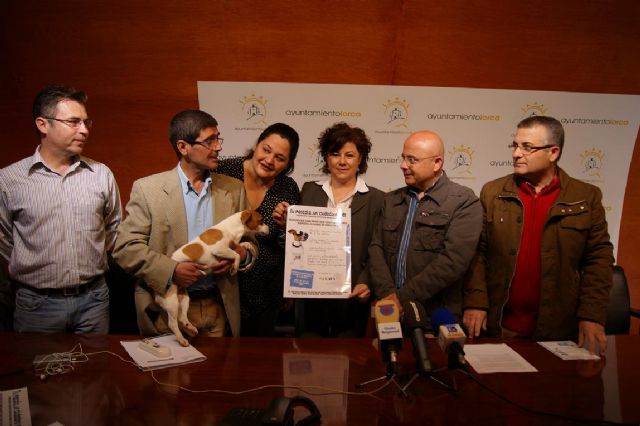 El Ayuntamiento de Lorca inicia una campaña para recordar la obligación de llevar los animales con correa e identificados y que sus dueños recojan los excrementos - 1, Foto 1