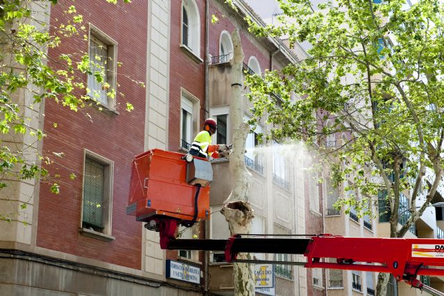 Parques y Jardines tala tres árboles en la zona de Príncipe de Asturias por su mal estado - 1, Foto 1