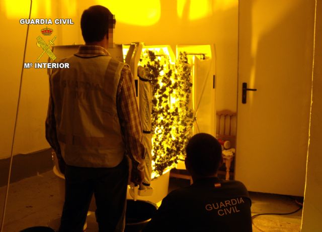 La Guardia Civil desarticula un punto de cultivo, elaboración y venta de marihuana en Lorquí - 3, Foto 3